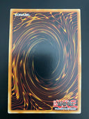 Yugioh Assault Dog DRLG-EN033 1st Edition Super Rare NM-MINT