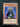 Yugioh Vennominon the King of Poisonous Snakes RYMP-EN069 Common 1st Ed HP/MP