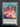 Yugioh Magistus Theurgy GEIM-EN010 Rare 1st Edition VLP/NM