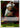 One Piece S-Hawk OP08-114 Two Legends R NM