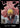 One Piece OP10 DON!! Card - Donquixote Doflamingo Royal Blood NM