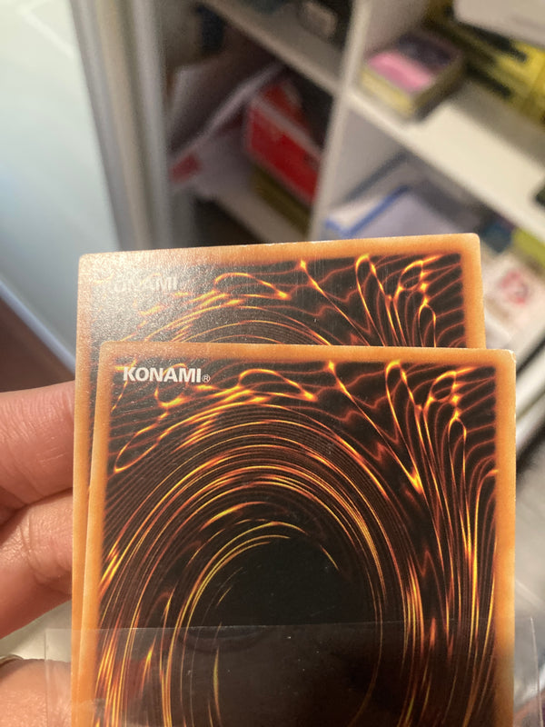 Yugioh Raidraptor - Skull Eagle DOCS-EN014 Common 1st Edition LP