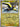 Pokemon Wattrel 078/198 Scarlet Violet Base Reverse Holo VLP/NM