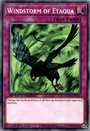 Yugioh Windstorm of Etaqua SGX3-ENA20 Speed Duel Common 1st Edition NM