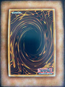 Yugioh D/D/D Supersight King Zero Maxwell LIOV-EN095 Common 1st Edition VLP/NM