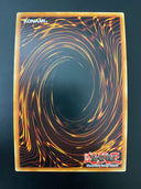 Yugioh The Terminus of the Burning Abyss PGL3-EN088 Gold Rare 1st Edition VLP