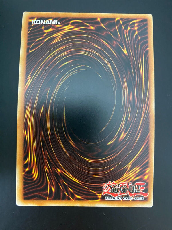 Yugioh Rage of Kairyu-Shin LEDU-EN017 1st Edition MINT