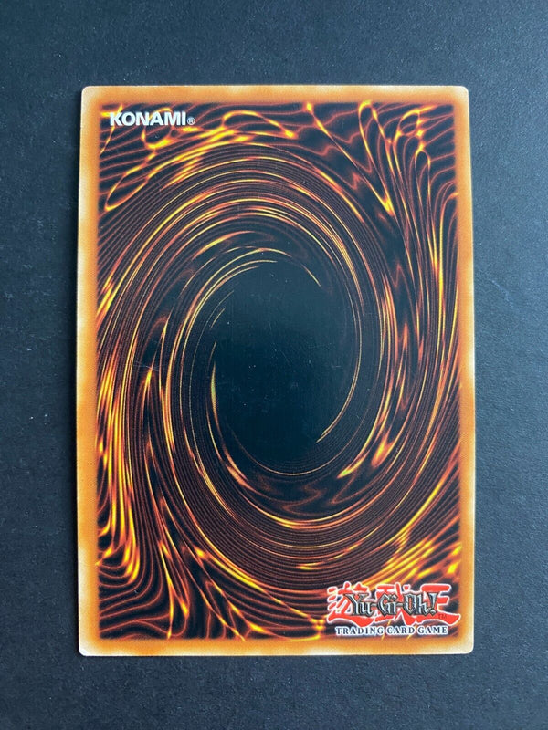 Yugioh Reasoning SDPL-EN027 Common 1st Edition VLP/NM