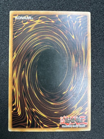 Yugioh Necro Gardna GLD2-EN027 Limited Gold Rare LP