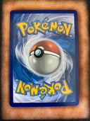 Pokemon Tepig 13/25 Mcdonalds 2021 Holo NM/MINT