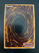 Yugioh Ghost of a Grudge PGLD-EN029 Premium Gold Rare 1st Edition VLP/NM