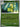 Pokemon Bayleef 009/132 Mega Evolution Reverse Holo NM