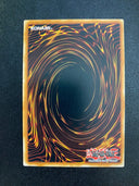 Yugioh King's Synchro SDCK-EN034 Common 1st Edition NM