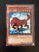 Yugioh Garmr of the Nordic Beasts STOR-EN012 Common 1st Edition LP