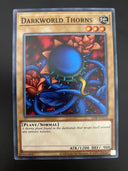 Yugioh Darkworld Thorns LOB-EN114 Unlimited Edition Common NM/MINT