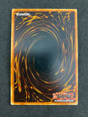 Yugioh Drill Synchron DP10-EN004 1st Edition Common NM