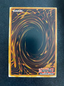 Yugioh Earthbound Immortal Chacu Challhua LDS3-EN041 Common 1st Edition NM