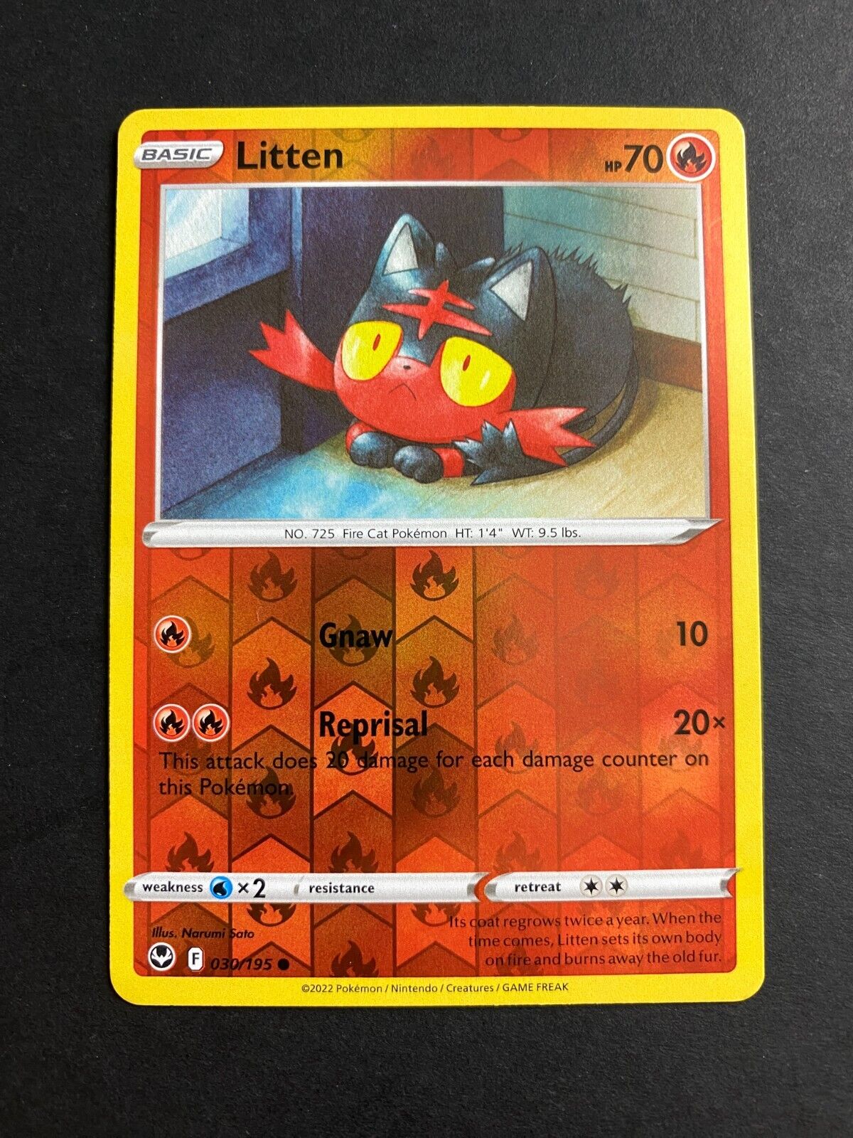 Pokemon Litten 030/195 Silver Tempest Reverse Holo NM