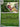 Pokemon Ariados 002/088 Perfect Order Reverse Holo NM