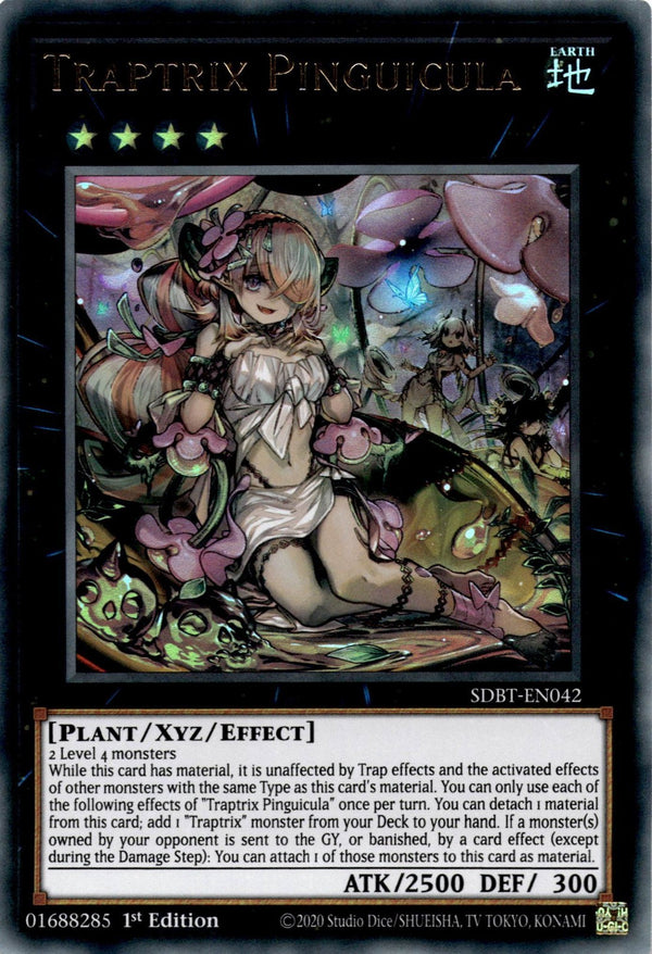 Yugioh Traptrix Pinguicula SDBT-EN042 Ultra Rare 1st Edition VLP/NM