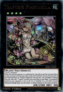 Yugioh Traptrix Pinguicula SDBT-EN042 Ultra Rare 1st Edition VLP/NM