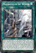 Yugioh Mausoleum of White LDS2-EN023 Common 1st Edition NM