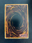 Yugioh Marincess Mandarin MP20-EN147 Common 1st Edition NM