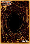 Yugioh Infinitrack River Stormer RA05-EN049 NA Print Collector’s Rare 1st Ed NM