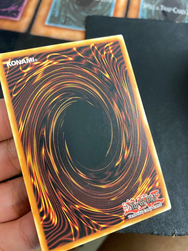 Yugioh Ritual Raven OP08-EN014 Common Unlimited Edition LP