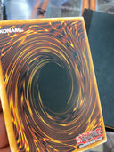 Yugioh Mystic Tomato RP01-EN076 Common (Misprint/Miscut) #1 Retro Pack NM