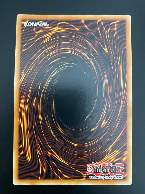 Yugioh Assault Dog DRLG-EN033 1st Edition Super Rare NM-MINT