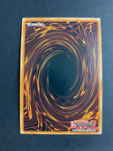Yugioh Tempest, Dragon Ruler of Storms MGED-EN011 Premium Gold Rare 1st Ed NM