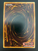 Yugioh Triamid Pulse TDIL-EN074 1st Edition NM