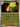 Pokemon Charjabug 025/084 Pitch Black Reverse Holo NM