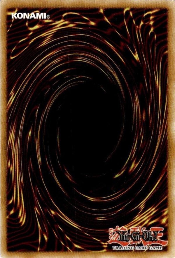 Yugioh Necrovalley SBC2-ENF14 Common 1st Edition VLP/NM