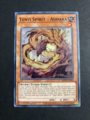 Yugioh Tenyi Spirit - Adhara MP20-EN106 Common 1st Edition VLP/NM
