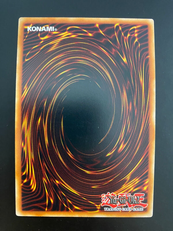 Yugioh Vorticular Drumgon CYHO-EN041 1st Edition MINT