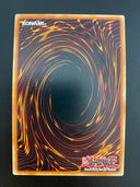 Yugioh Vorticular Drumgon CYHO-EN041 1st Edition MINT