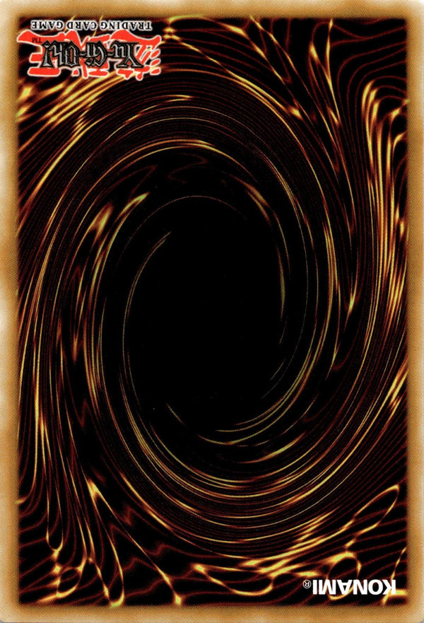 Yugioh Dragon Spirit of White SDWD-EN008 Common 1st Edition NM