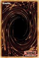 Yugioh Dogmatikacism MP21-EN203 Common 1st Edition NM