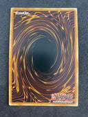 Yugioh Invoked Magellanica FUEN-EN031 Secret Rare 1st Edition NM