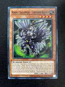 Yugioh Heroic Challenger -Thousand Blades OP19-EN019 Common Unlimited Edition NM