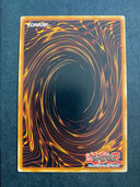 Yugioh March of the Monarchs CBLZ-EN064 Common 1st Edition HP/MP