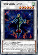 Yugioh Splendid Rose L5DD-ENA27 Common 1st Edition NM