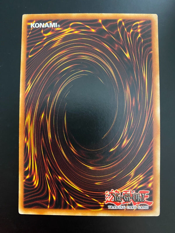 Yugioh By Order of the Emperor SR01-EN039 Common 1st Edition NM/MINT