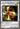 Yugioh T.G. Recipro Dragonfly EXVC-EN039 Rare 1st Edition LP