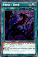 Yugioh Frozen Rose L5DD-ENA21 Common 1st Edition NM