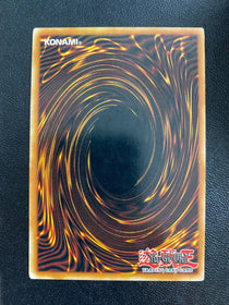 Yugioh Samsara Lotus PTDN-EN004 Common Unlimited Edition MP