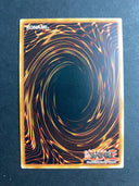 Yugioh Foolish Burial SDLI-EN029 Common Unlimited Edition NM