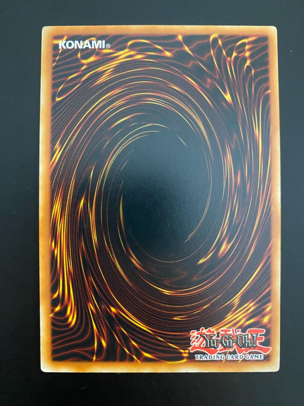 Yugioh Performapal Salutiger SDMP-EN011 Common 1st Edition NM/MINT